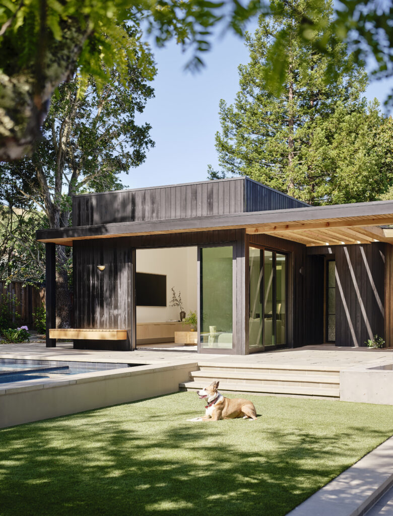 Backyard retreat with aligned pool and shaded ADU structure designed for gathering and relaxation in Lafayette.